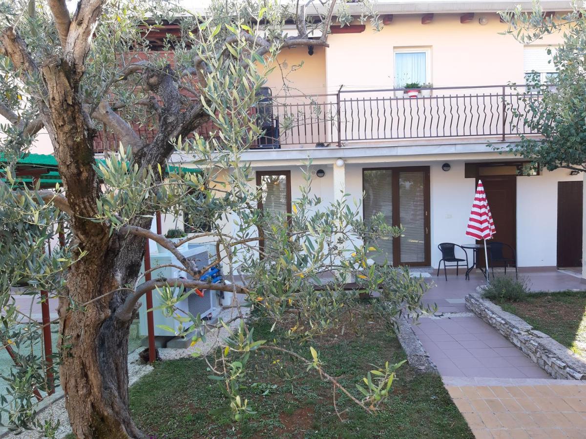 Studio Rocco Novigrad Istria Exteriér fotografie