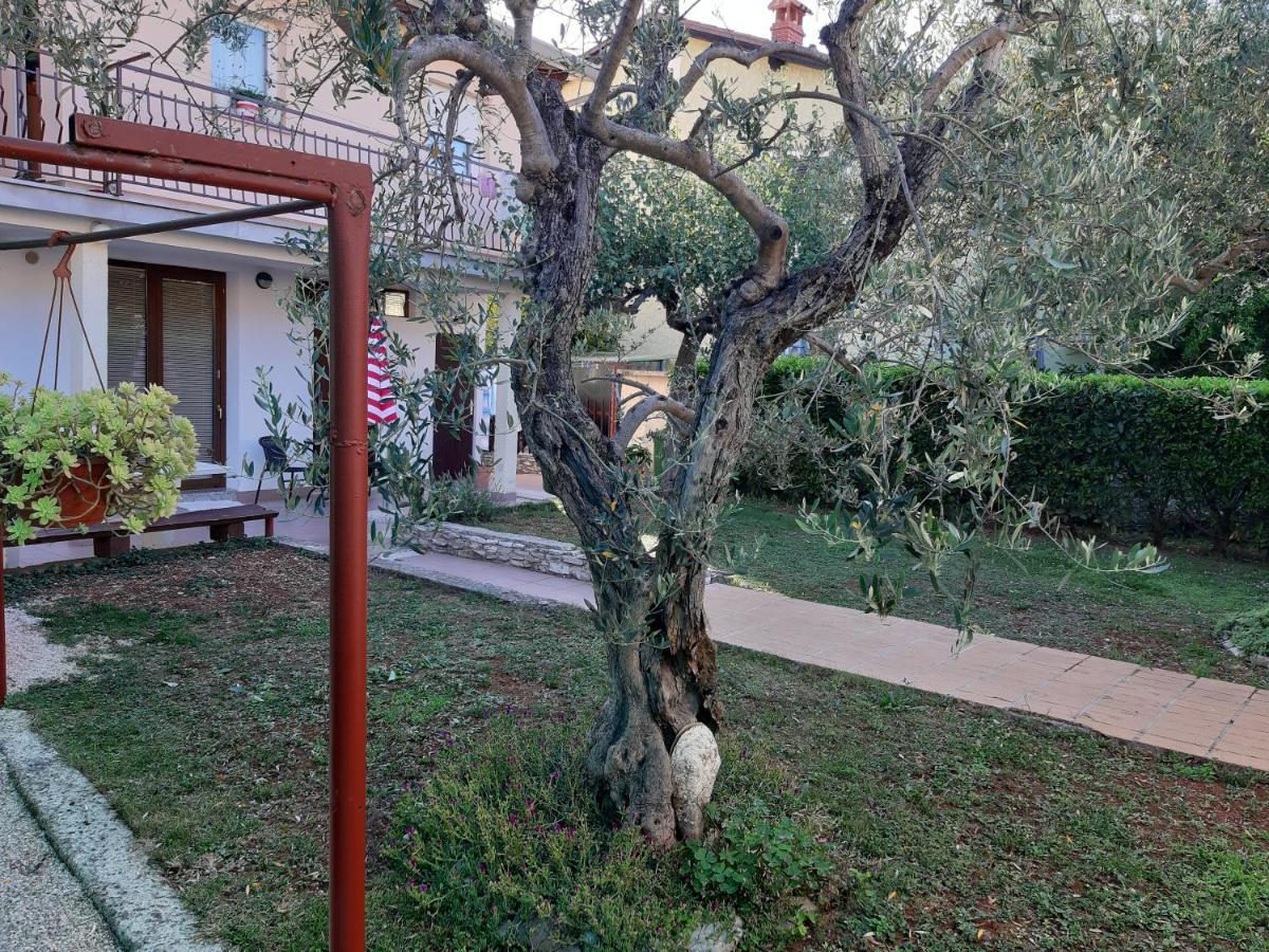 Studio Rocco Novigrad Istria Exteriér fotografie